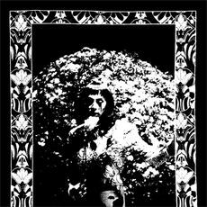 Vinile Model Express Cindy Lee