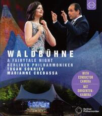 Film Waldbühne 2019. Midsummer Night Dreams