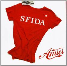 CD Amici 2009. Sfida (Colonna sonora)