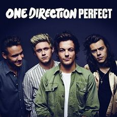 CD Perfect One Direction
