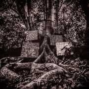Vinile Harmony of Difference Kamasi Washington