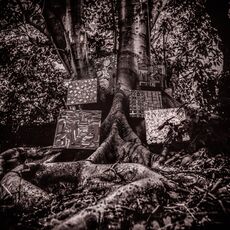CD Harmony of Difference Kamasi Washington