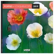 Cartoleria Calendario 2019 Papaveri Aquarupella. Coquelicot - 16,5x16,5 Aquarupella