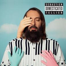CD Domesticated Sebastien Tellier