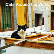 Cartoleria Calendario 2019 TeNeues 30 x 30. Cats Around the World. Gatti da tutto il mondo TeNeues