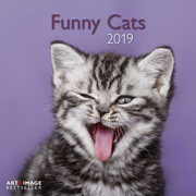 Cartoleria Calendario 2019 TeNeues Art & Image 30 x 30. Funny Cats. Gatti simpatici TeNeues