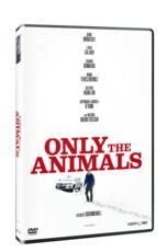 Film Only the animals. Storie di spiriti amanti (DVD) Dominik Moll