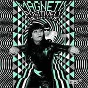 Vinile Positively Negative Magnetix