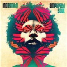 CD Amplifield Soul Incognito