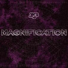 Vinile Magnification Yes