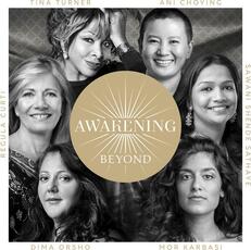 CD Awakening Beyond Tina Turner Regula Curti Mor Karbasi