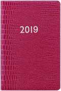 Cartoleria Agenda settimanale 2019 Letts Iguana Mini Pocket. Rosa Letts