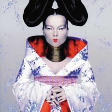 CD Homogenic Björk