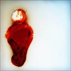 Vinile Better Than This Stubborn Heart