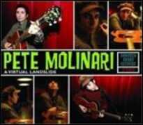 CD Virtual Landslide Pete Molinari