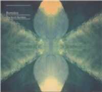 CD The North Borders Bonobo
