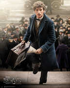 Idee regalo Poster Fantastic Beasts. Newt Scamander GB Eye