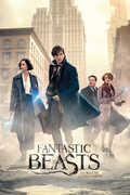 Idee regalo Poster Fantastic Beasts. Street 61x91,5 cm. GB Eye