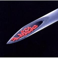 CD Live Blood Peter Gabriel