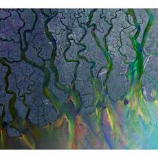 CD An Awesome Wave Alt-J