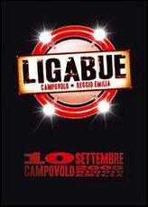Film Ligabue. Campovolo