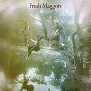 CD Hatched Fresh Maggots
