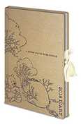 Cartoleria Diario Winnie The Pooh Perfect Day Diary 2019 Pyramid