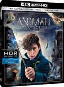 Film Animali fantastici e dove trovarli (Blu-ray + Blu-ray 4K Ultra HD) David Yates