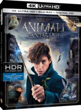 Film Animali fantastici e dove trovarli (Blu-ray + Blu-ray 4K Ultra HD) David Yates