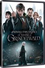 Film Animali fantastici: I crimini di Grindelwald (DVD) David Yates