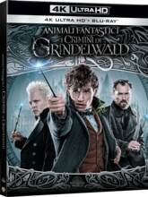 Film Animali fantastici: I crimini di Grindelwald (Blu-ray + Blu-ray Ultra HD 4K) David Yates
