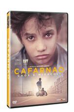 Film Cafarnao. Caos e miracoli (DVD) Nadine Labaki