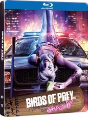 Film Birds of Prey e la fantasmagorica rinascita di Harley Quinn. Con Steelbook (Blu-ray) Cathy Yan