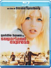 Film Sugarland Express Steven Spielberg
