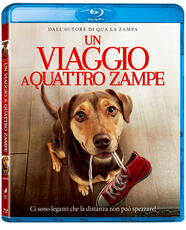 Film Un viaggio a quattro zampe (Blu-ray) Charles Martin Smith