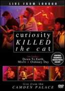 Film Curiosity Killed The Cat. Live From London