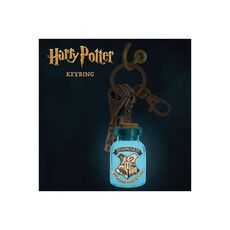 Idee regalo Portachiavi Luminoso Harry Potter. Hogwarts Paladone Products Ltd