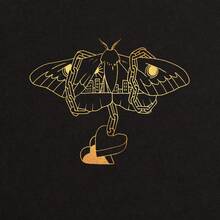 CD Gold in a Brass Age David Gray