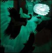 Vinile The Brothel Susanne Sundfor