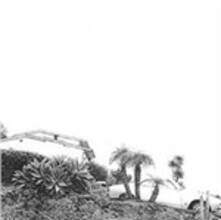 Vinile Hot Dreams Timber Timbre