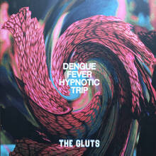 Vinile Fuzz Club Session A Place to Bury Strangers