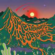 Vinile Metronomy Forever Metronomy