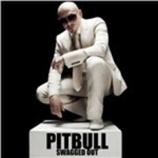 CD Swagged Out Pitbull