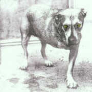 CD Alice in Chains Alice in Chains