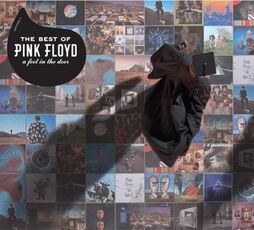 CD A Foot in the Door. The Best of Pink Floyd (Discovery) Pink Floyd