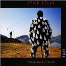 CD Delicate Sound of Thunder (Digipack) Pink Floyd