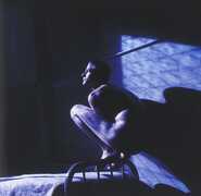 CD Birdy (Colonna Sonora) Peter Gabriel