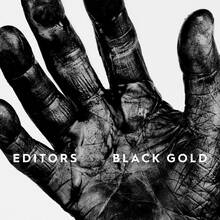 Vinile Black Gold (White Coloured Vinyl) Editors