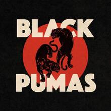 Vinile Black Pumas (Deluxe Edition) Black Pumas