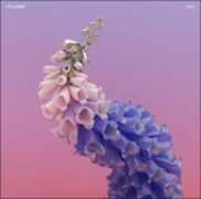 Vinile Skin Flume